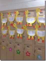 uck ducks3