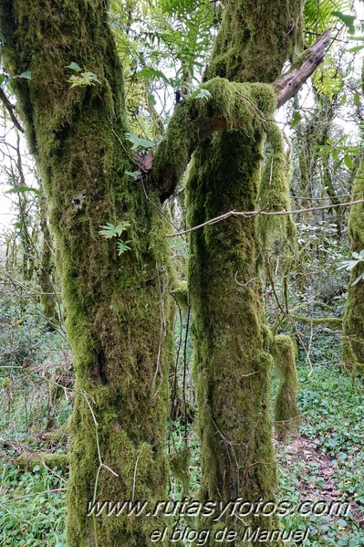 Cascadas del río de los Molinos - Tajo de la Corza - Llanos del Juncal - Pico Luna - Sendero de los Calabozos