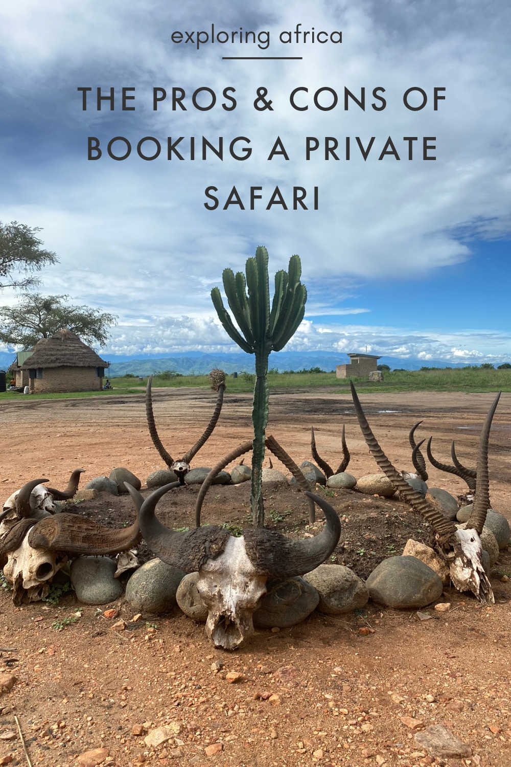 pros and cons of private safari
