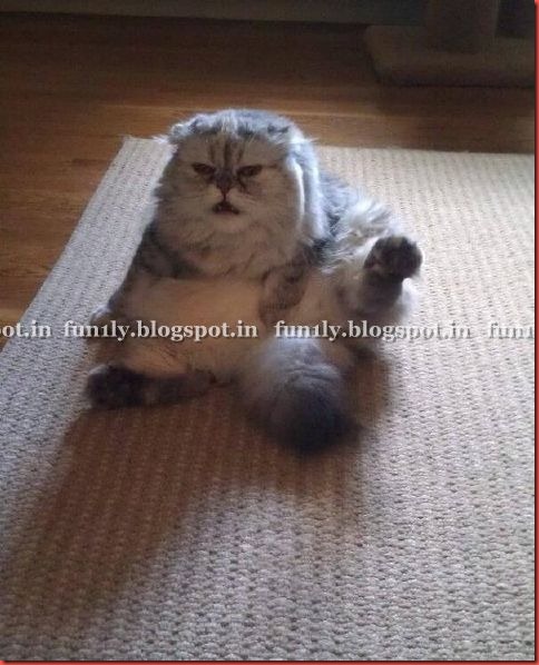 fun1ly.blogspot.in (3)