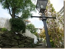CIMG0655gamle stan