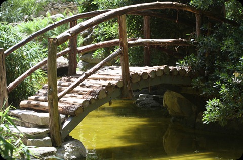 Bridge in the garden
