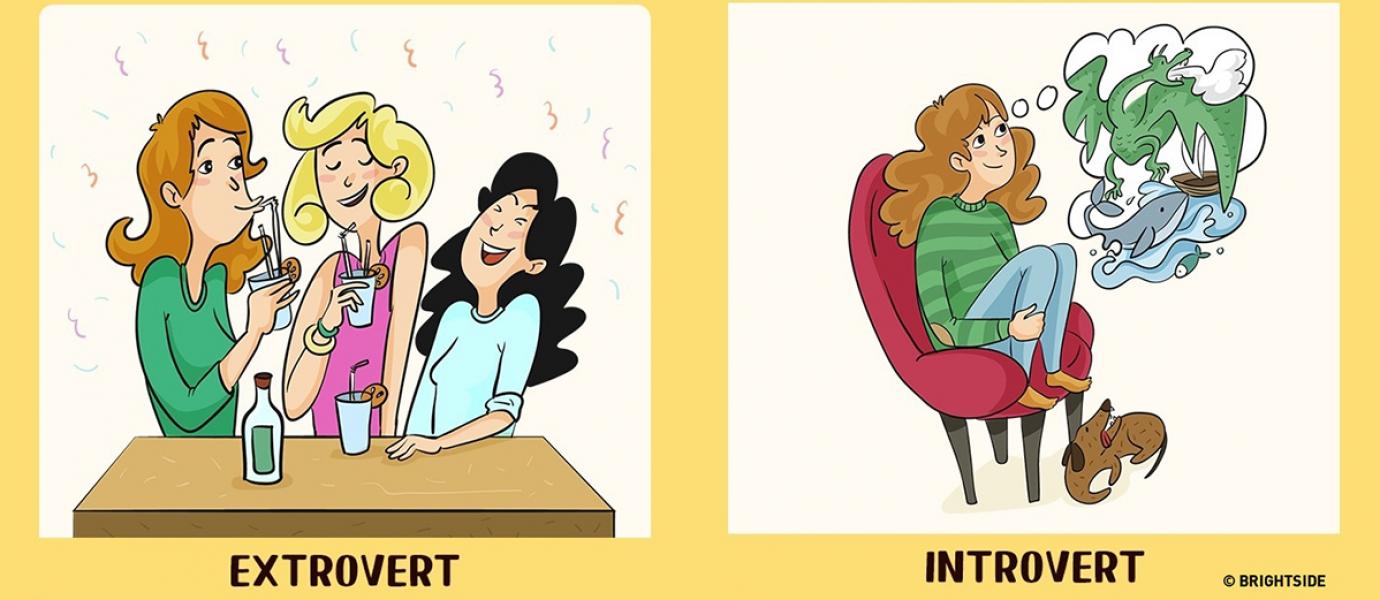 Apakah Kamu Introvert Atau Ekstrovert Inilah 12 Ilustrasi