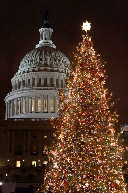 christmas trees decorated