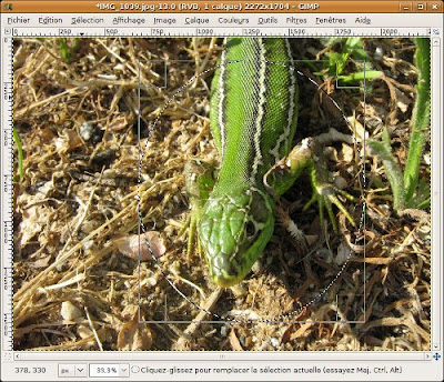 tuto sélectionner zone pour cadre bordure floutée