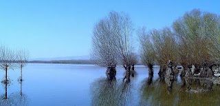 Lake (Göl) İle İlgili İngilizce Cümleler 