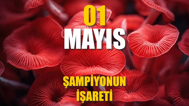 Şampiyonun İşareti | 01 Mayıs / 365 Gün Öz Disiplin