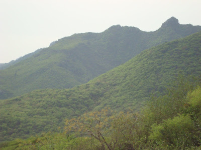 Margalla hills Image
