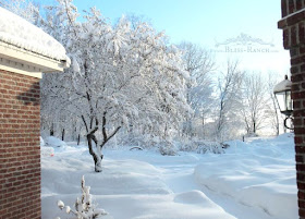 Snow Minnesota