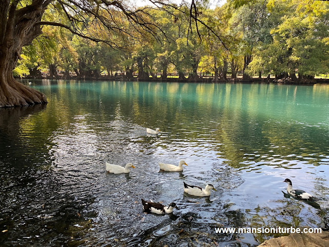 Lago de Camécuaro en Michoacán