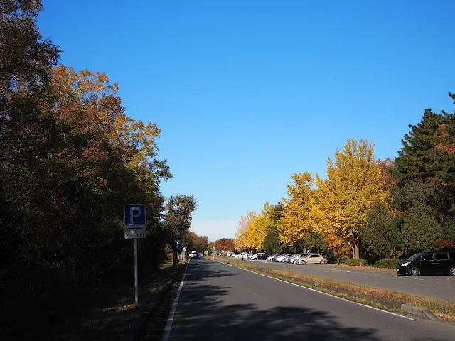 荒川　秋ヶ瀬公園