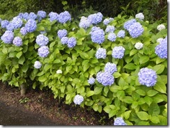 DSCN6857
