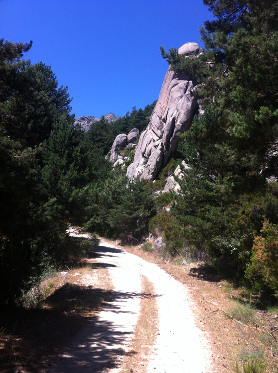 Ruta en bici por la Hoya de San Blas, julio 2012