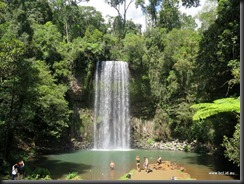 180505 085 Millaa Millaa Falls