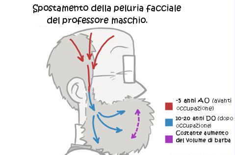 Compressa Mente Capelli Peli E Luce Solare Una Nuova