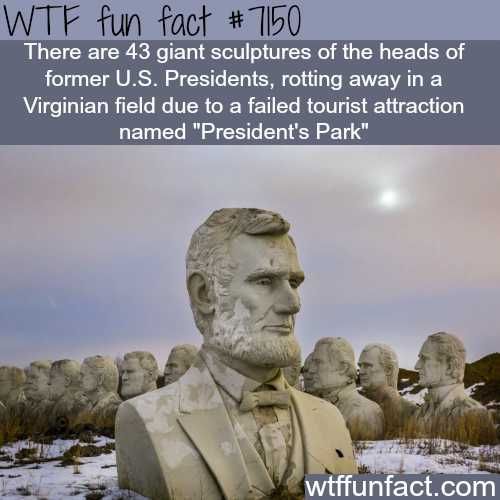 Amazing Interesting Random Facts