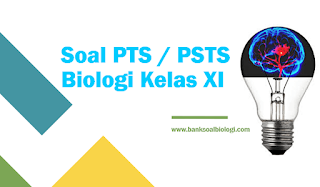 Download Contoh Soal PTS / PSTS Biologi Kelas XI