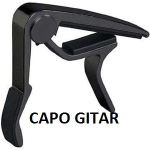 guitar with capo