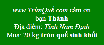 Trùn quế về Nam Định