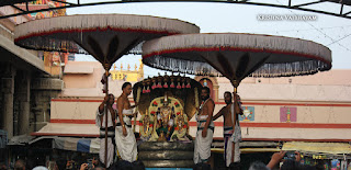 Aadi Sesha Vahanam,Purappadu, Brahmotsavam,Sri Parthasarathy Perumal,Chithirai, Triplicane,   Thiruvallikeni, Utsavam