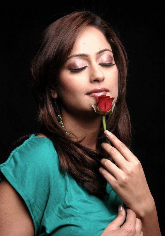 southindianactress-ksn.blogspot.com