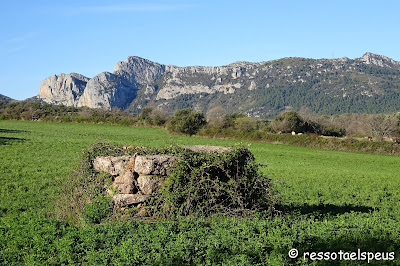 Itinerari de Peramea a l'estany de Montcortès