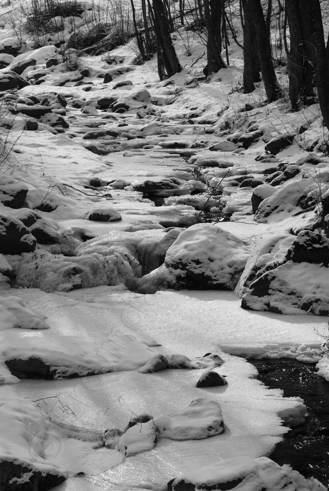 Gelo in Valle Maira 