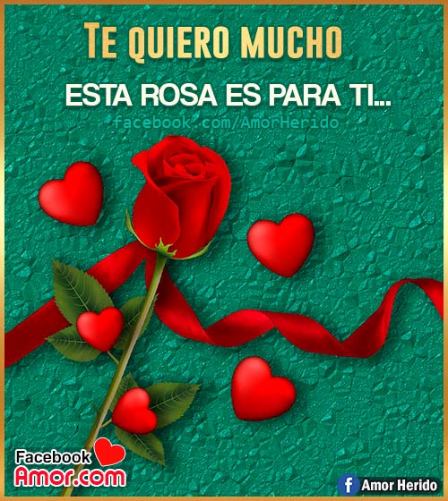 imágenes de rosas para amor