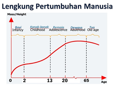 Menganalisa pola lengkung pertumbuhan manusia