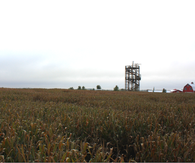 Richardson Corn Maze is the World's Largest and includes 9-10 miles of trails!