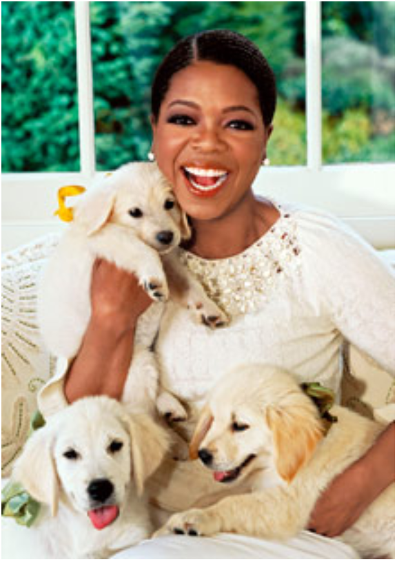 Oprah Winfrey and her three Golden Retriever dogs, Luke, Layla and Gracie