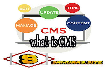 How does CMS work what is CMS