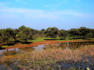 Waterbodies at hessaraghatta