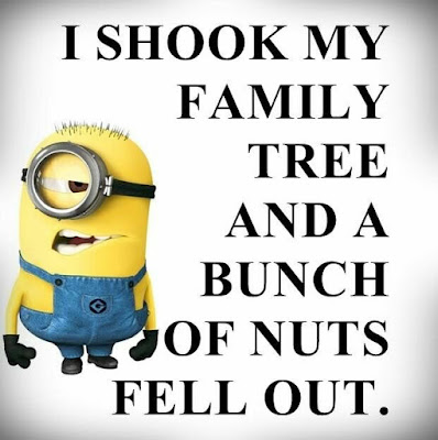 new funny minion quotes with images 11
