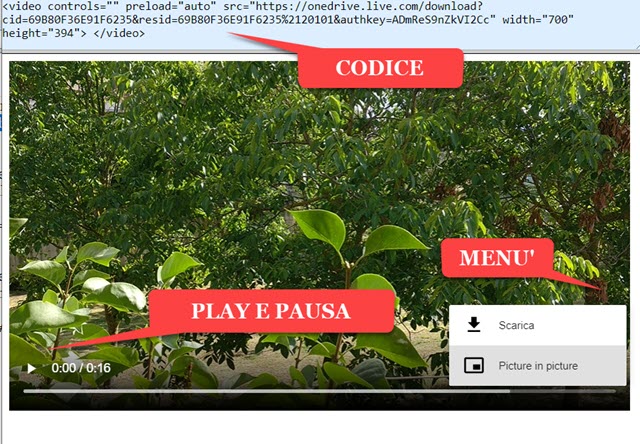 player-video-html5