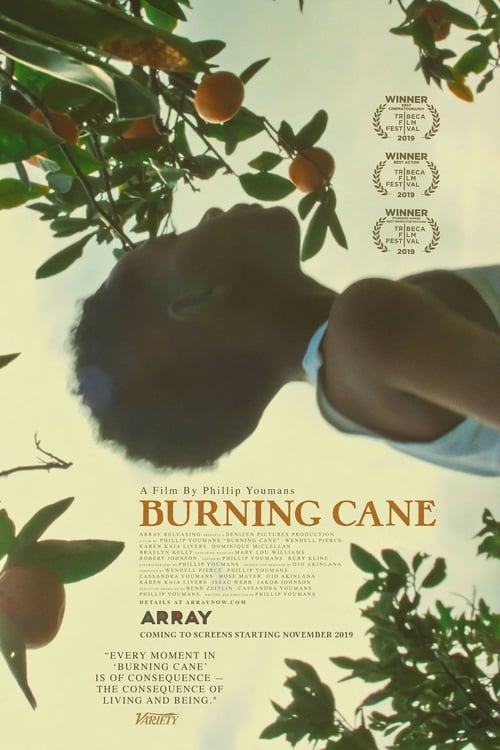 [HD] Burning Cane 2019 Pelicula Online Castellano