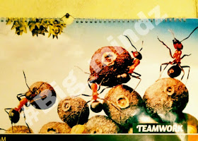 Team work, power of association, ants, cooperation 