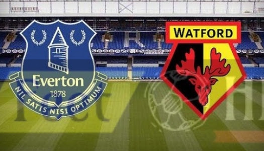 Everton 2-2 Watford Soccer Match Highlight | FeetBall HL