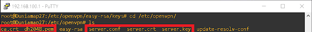 Konfigurasi OpenVPN Server Debian 8 Jessie di Virtualbox