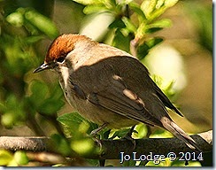 IMG_2639