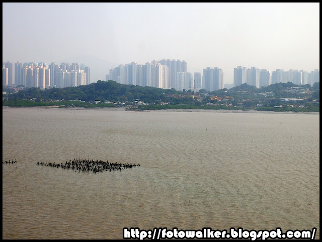 深圳灣公路大橋