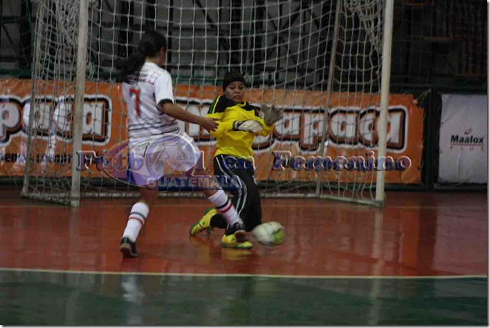 futsalfem.masc 271