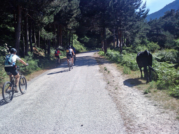 Ruta en bici de Cercedilla a Segovia, junio 2012