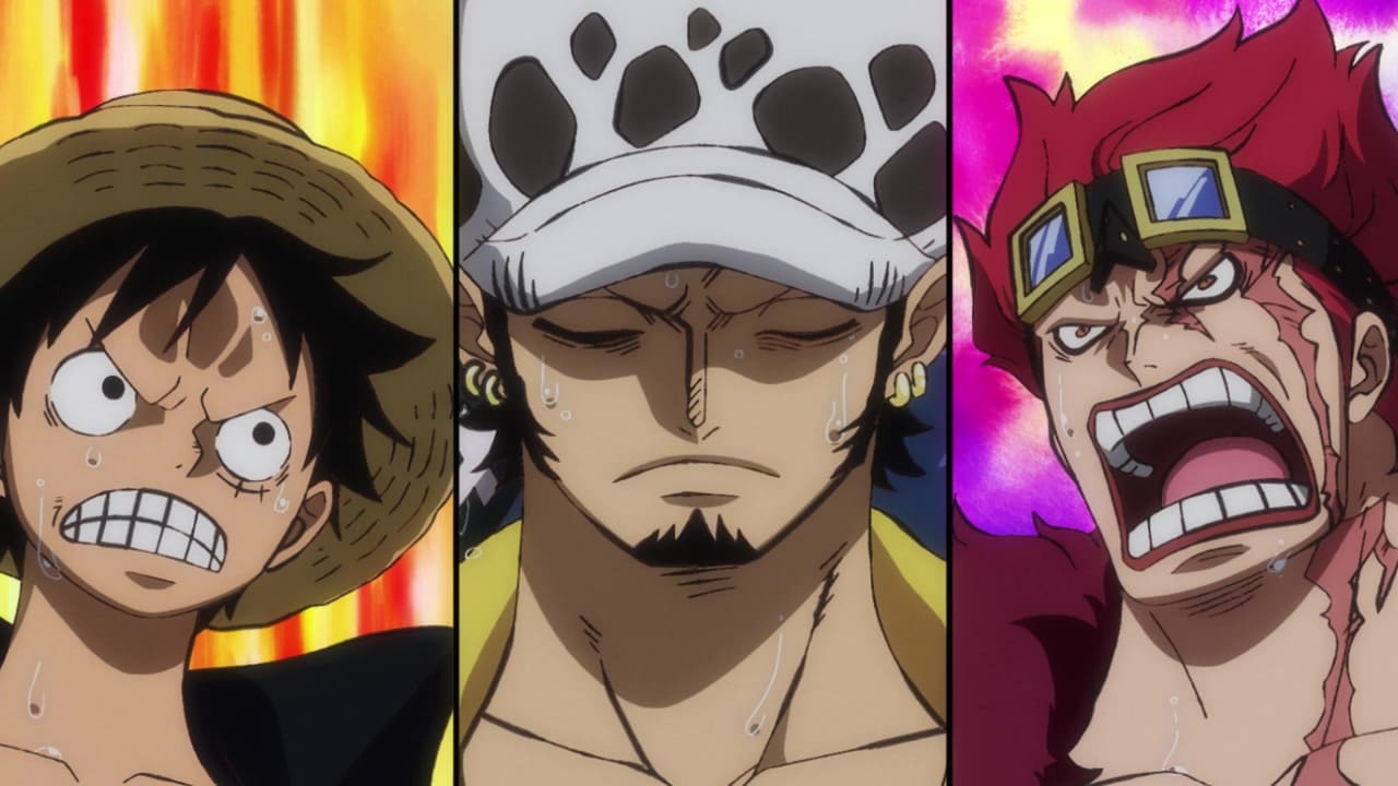 One Piece 最悪の世代メンバー一覧 Worst Generation