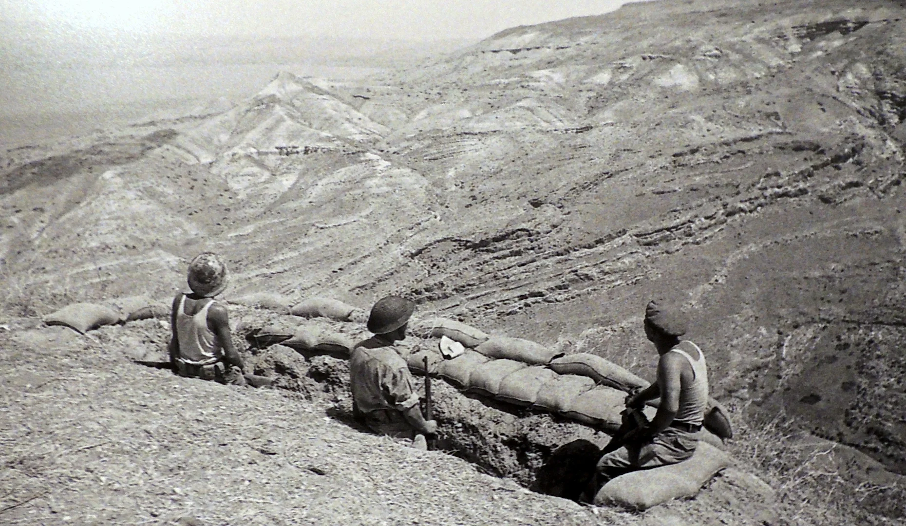 תמונה: 