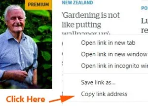 NZ Herald Premium Articles Free