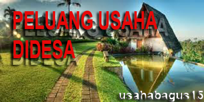 Peluang Usaha Yang Menguntungkan Di Desa | Contoh Peluang ...