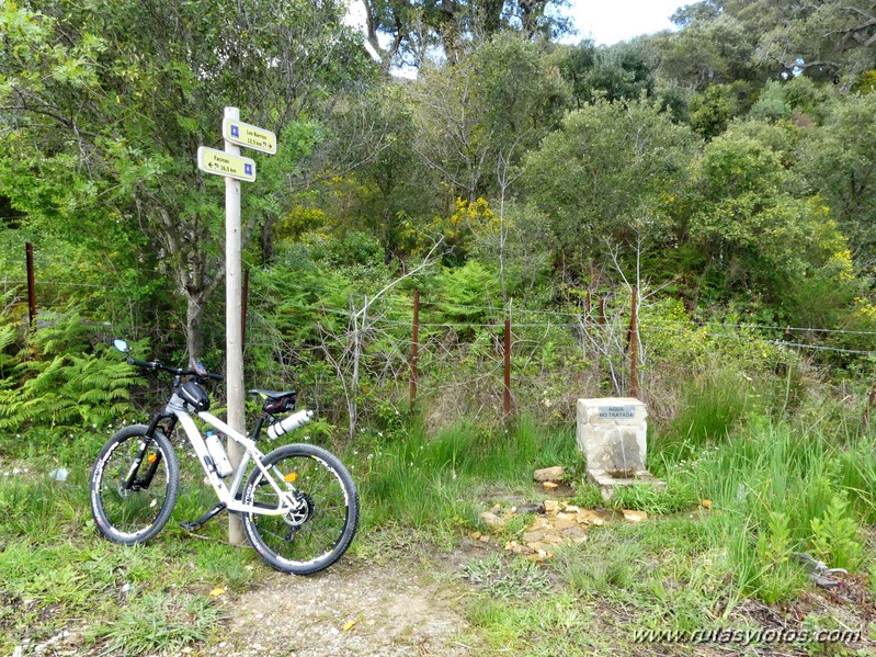 Carril Cicloturista Camino de Ojén