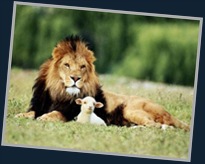 lion-and-lamb