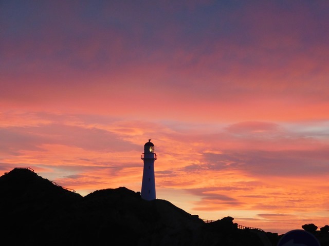 C11_NZ NI Castlepoint_2018-04-28_DSCN9179